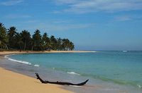 Beach of the Hotel OASIS LAS TERRENAS - Las Terrenas - Dominican Republic
